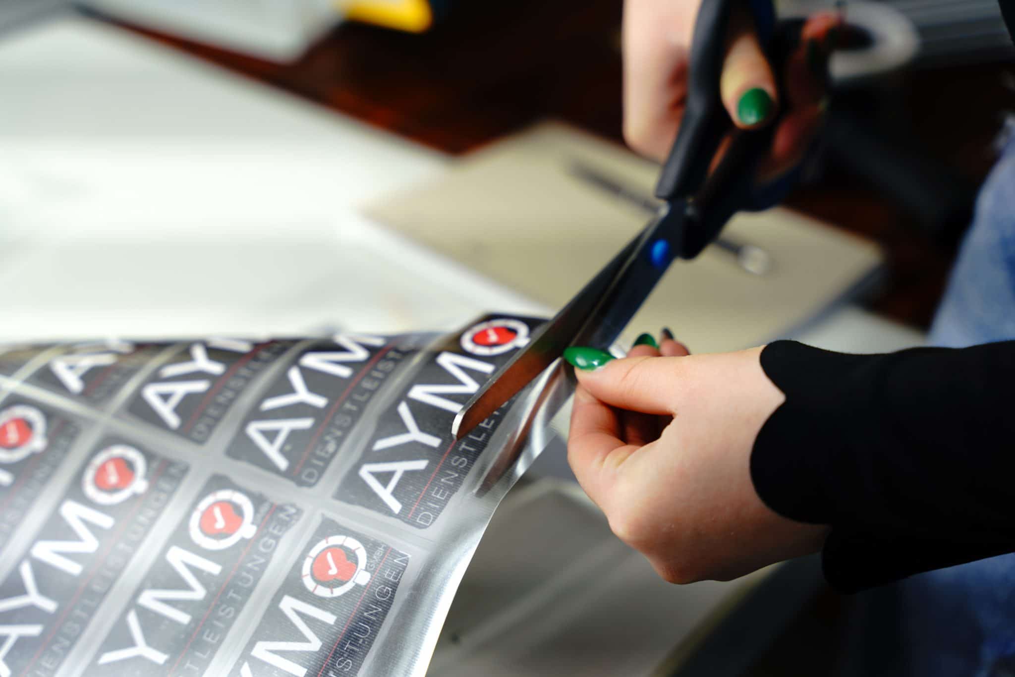 Am Puls der Zeit - ein Praktikum bei MSK